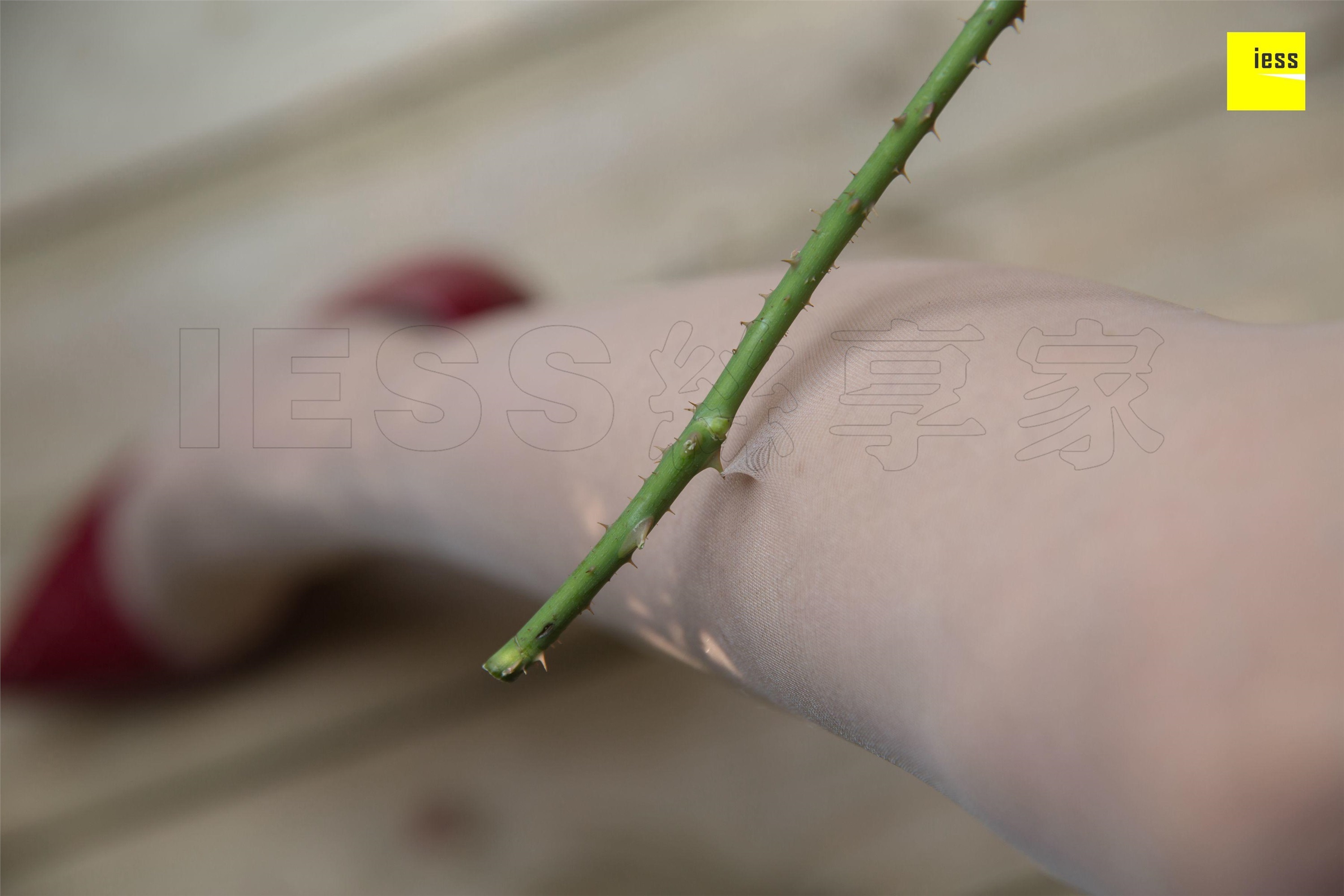 IESS异思趣向  2018.08.15《魔鬼周三》特刊31期：花艺师婉萍